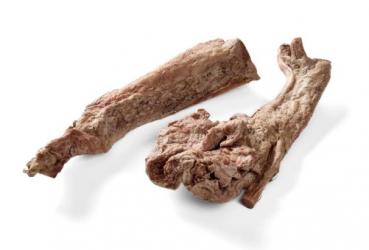 Rinder Sehne gefriergetrocknet